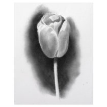 TULIP IN PENCIL: REALISM ART letterhead