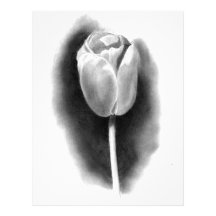 TULIP IN PENCIL: REALISM ART LETTERHEAD