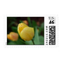 Tulip in the rain stamp