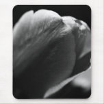 Tulip in the Sunlight Mouse Pad mousepads
