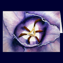 Tulip Interior cards
