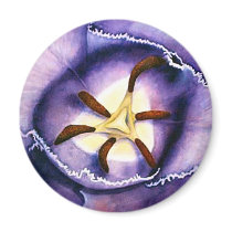 Tulip Interior magnet by artbyjolyn Tulip Interior magnet