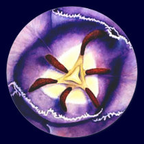 Tulip Interior Stickers