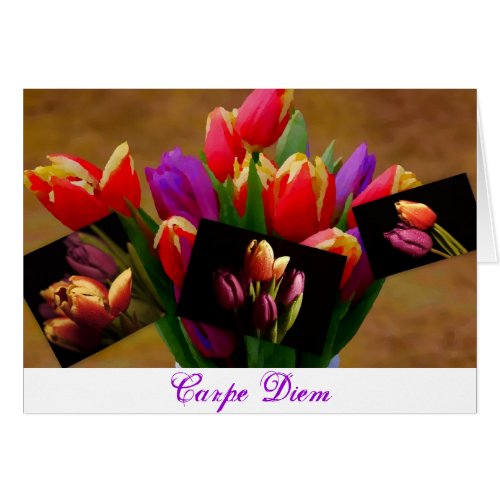 Tulip Love-Carpe Diem Card zazzle_card