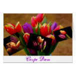 Tulip Love-Carpe Diem Card cards