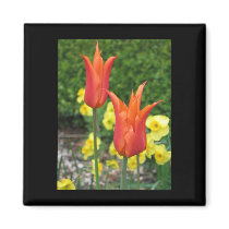 Tulip magnets by JellyRollDesigns Tulip magnets