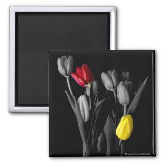 Tulip-Magnet magnet