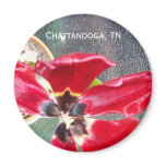 Tulip Magnet