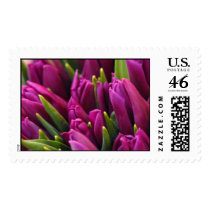 Tulip Market postage