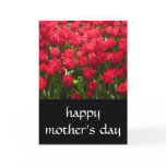 tulip mothers day cards