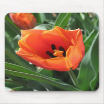 Tulip Mousepad mousepads