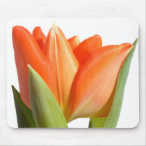 Tulip Mousepad by mlane53 Tulip Mousepad