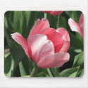 Tulip mousepads