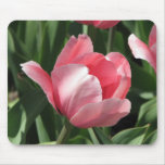 Tulip mousepads
