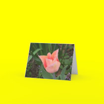 Tulip Note Card by ohmeakanancy Tulip Note Card