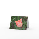 Tulip Note Card Tulip Note Card