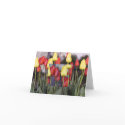 Tulip Notecard