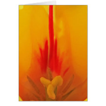 Tulip Notecard