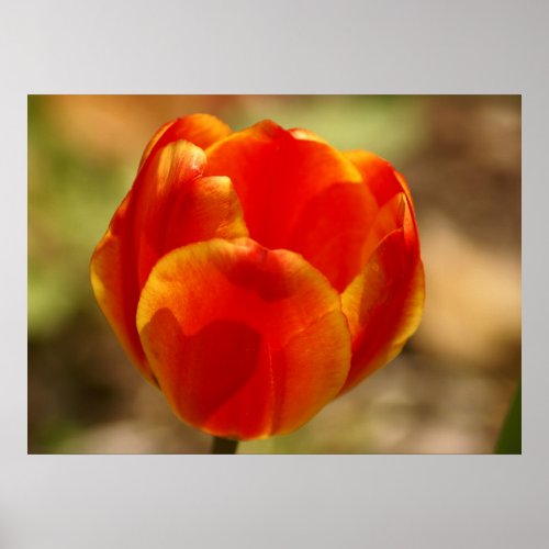 Tulip Orange print