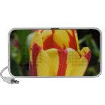 Tulip OrigAudio Doodle Speaker