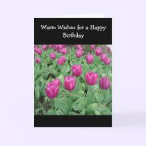 Tulip Patch Birthday Wish cards