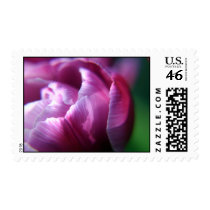 Tulip Petals stamps