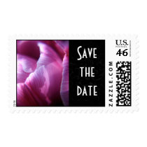 Tulip petals Save the date postage stamps
