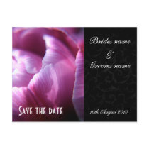 Tulip petals Save the date postcards postcards
