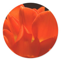 Tulip Petals Stickers by mlane53 Tulip Petals Stickers