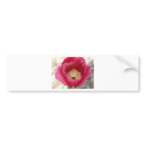 tulip,pink fringe tulip bumper stickers