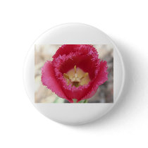 tulip,pink fringe tulip buttons