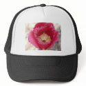 tulip,pink fringe tulip hats