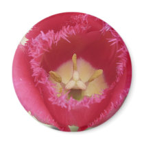 tulip,pink fringe tulip magnets