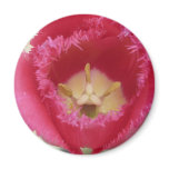tulip,pink fringe tulip magnets