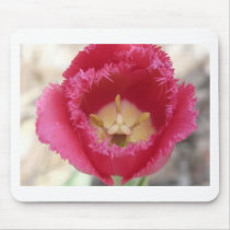 tulip,pink fringe tulip mousepads