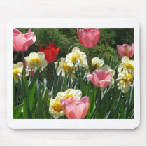 tulip,pink tulip and daffodil mousepads by pinkypetals tulip,pink tulip and daffodil mousepads