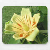Tulip Poplar Bloom mousepads by princessklb07 Tulip Poplar Bloom mousepads