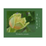 Tulip Poplar Flower Postcard