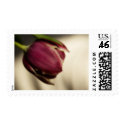 Tulip postage