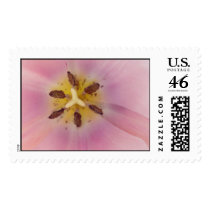 Tulip postage
