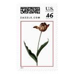 Tulip Stamps
