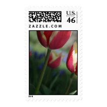Tulip Postage Stamp