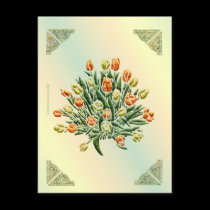 Tulip Postcard postcards