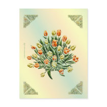 Tulip Postcard