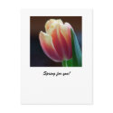 Tulip postcards