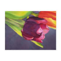 Tulip Postcard