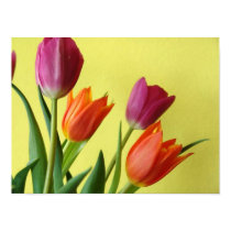 Tulip Poster posters by orglioness Tulip Poster posters