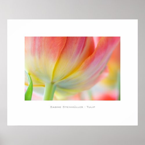 Tulip Poster print