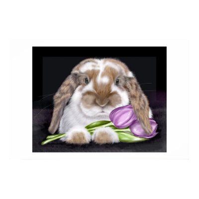Tulip Posters by debbie9473
