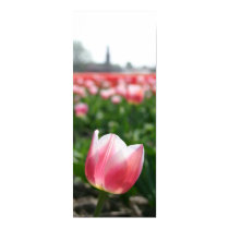 Tulip posters by robbekker Tulip posters